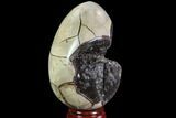 Septarian Dragon Egg Geode - Black Crystals #95985-2